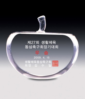 문진-작은크리스탈상패